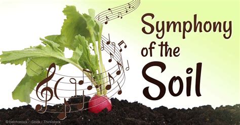  Soils of Our Land: A Symphony of Earth and Life!